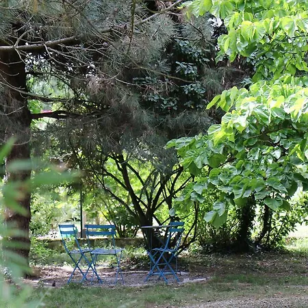 Chez Pierrot et Gisele Villa Meschers-sur-Gironde Kamer foto
